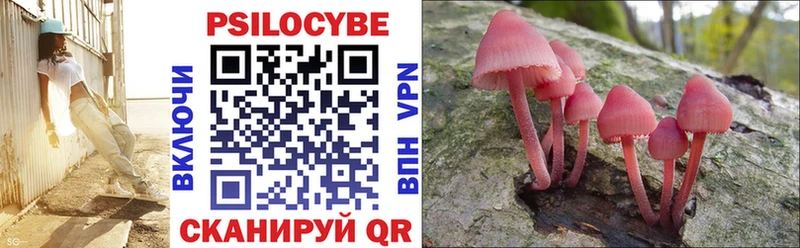 Псилоцибиновые грибы MAGIC MUSHROOMS Ермолино