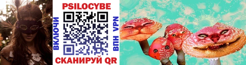 Галлюциногенные грибы Cubensis  купить закладку  Ермолино 